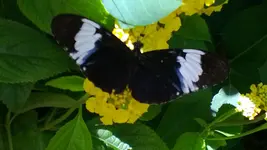 WP_20130720_018.webp