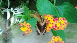 WP_20130720_019.webp