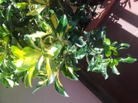 20130727_124434.webp