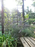 CIMG4334.webp