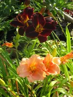 027_576x768.webp