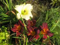 045_1024x768.webp