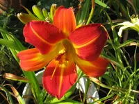 miracle2_1024x768.webp