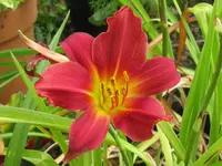 new note1_1024x768.webp