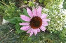 2013_0723Sommer0025.webp