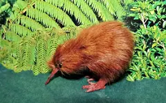 Copy of Copy of IMG_3902.webp