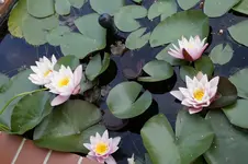 _DSC2831.webp