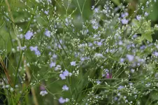 _DSC2837.webp