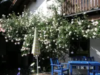 Garten 002.webp