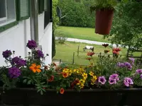 blumenkasten1.webp