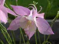 Garten_009_400_300.webp Garten_009_400_300.webp