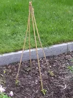 Garten_010_300_400.webp Garten_010_300_400.webp