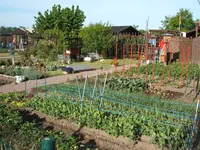 Garten 09.05.09 006.webp