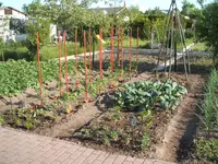 Garten 09.05.09 003.webp