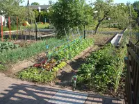 Garten 09.05.09 004.webp