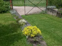 Mai3 013.webp