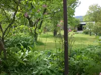 Mai3 025.webp
