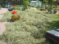 DSCF2917.webp
