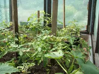 DSCF2919.webp