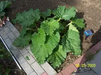 100_1548.webp