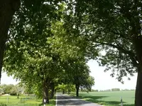 P1050628_600_450.webp