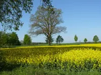 P1050573_600_450.webp