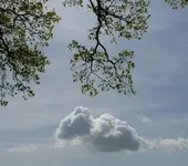 P1050604_600_531.webp