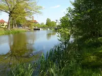 P1050598_600_450.webp