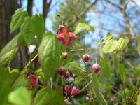 25.4.2009 031.webp