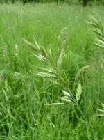 090510_0089_2.webp
