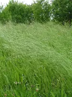 090510_0090_2.webp