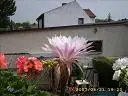628.webp
