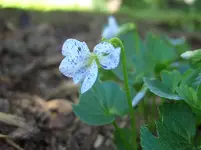 29.4.2009 017.webp