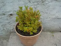 2009.05.04 003.webp