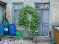 2009.05.04 007.webp 2009.05.04 007.webp
