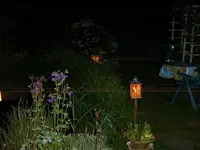 garten bei nacht.webp