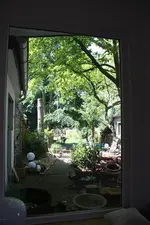 IMG_0658  1.webp
