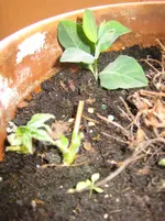 09-05-03 (1).webp
