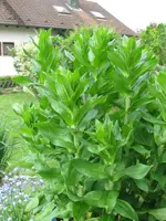 IMG_0756.webp