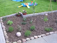 Beet I.webp Beet I.webp