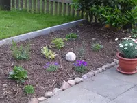 Beet II.webp Beet II.webp