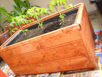 tomatenkübel verkleidung neu.webp