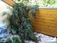 balkon.webp
