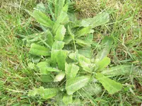 DSCN9122.webp