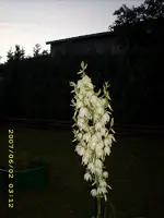 gartenbilder 015.webp