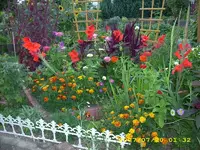 gartenbilder 027.webp