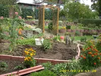 neues blumenbeet.webp