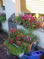 DSC00022.webp