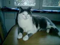 CIMG0041.webp