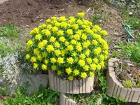 CIMG2156.webp
